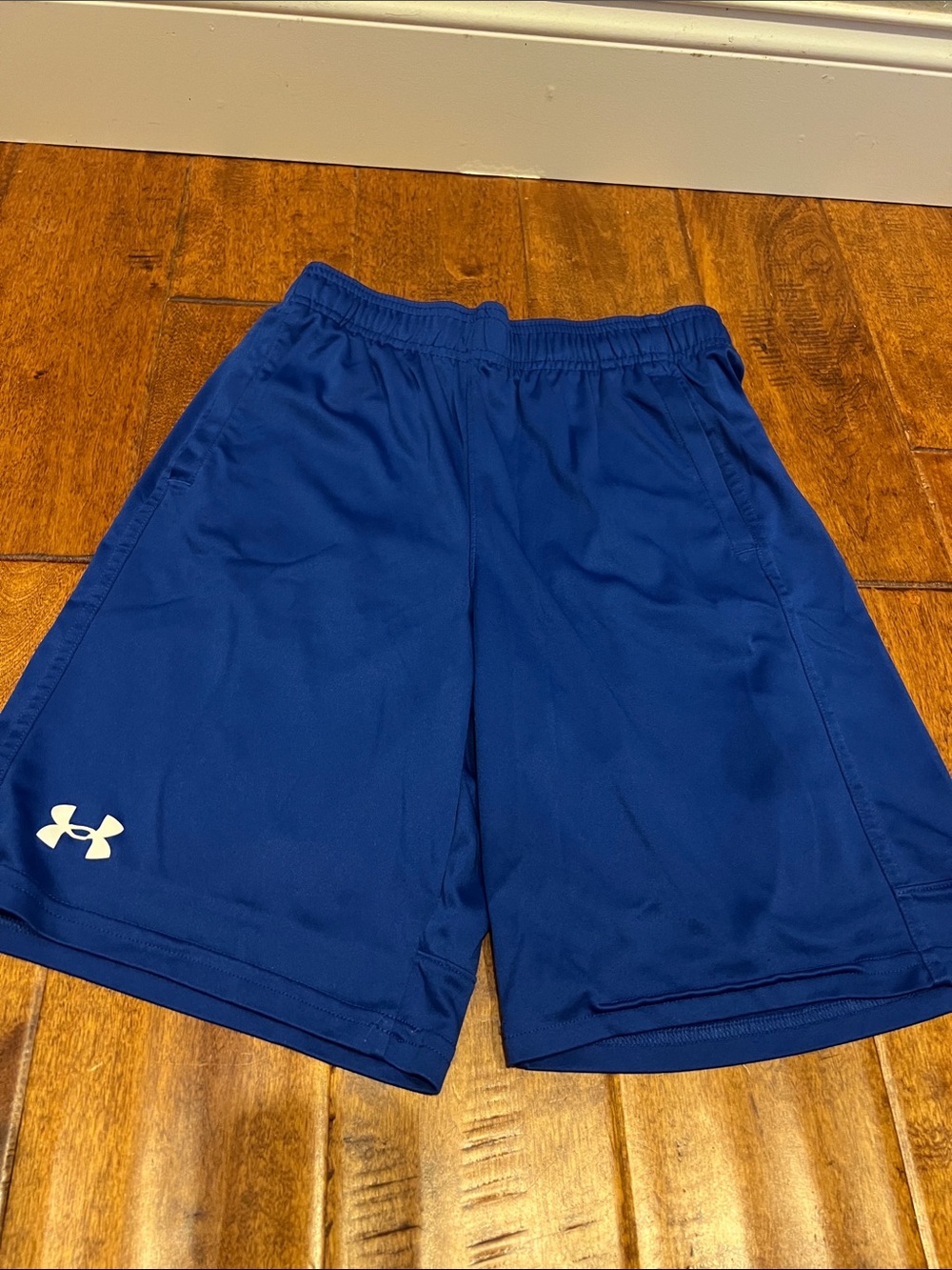 Under Armour Royal Blue Men's Athletic Shorts